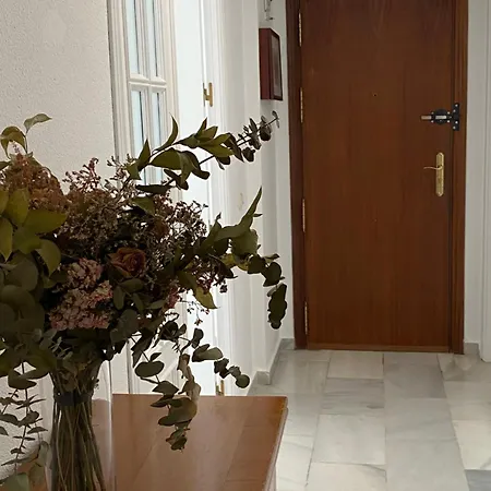 Apartment Jerez Avenida *