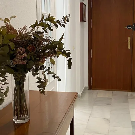 Apartamento Jerez Avenida
